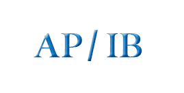  APIB