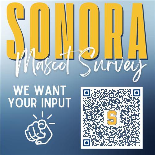  SOHS Mascot Survey