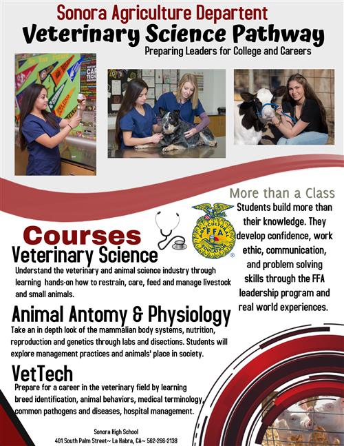 AG Veterinary Tech / AG Veterinary Tech AG Veterinary Tech / AG Veterinary Tech