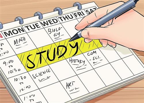 Study 