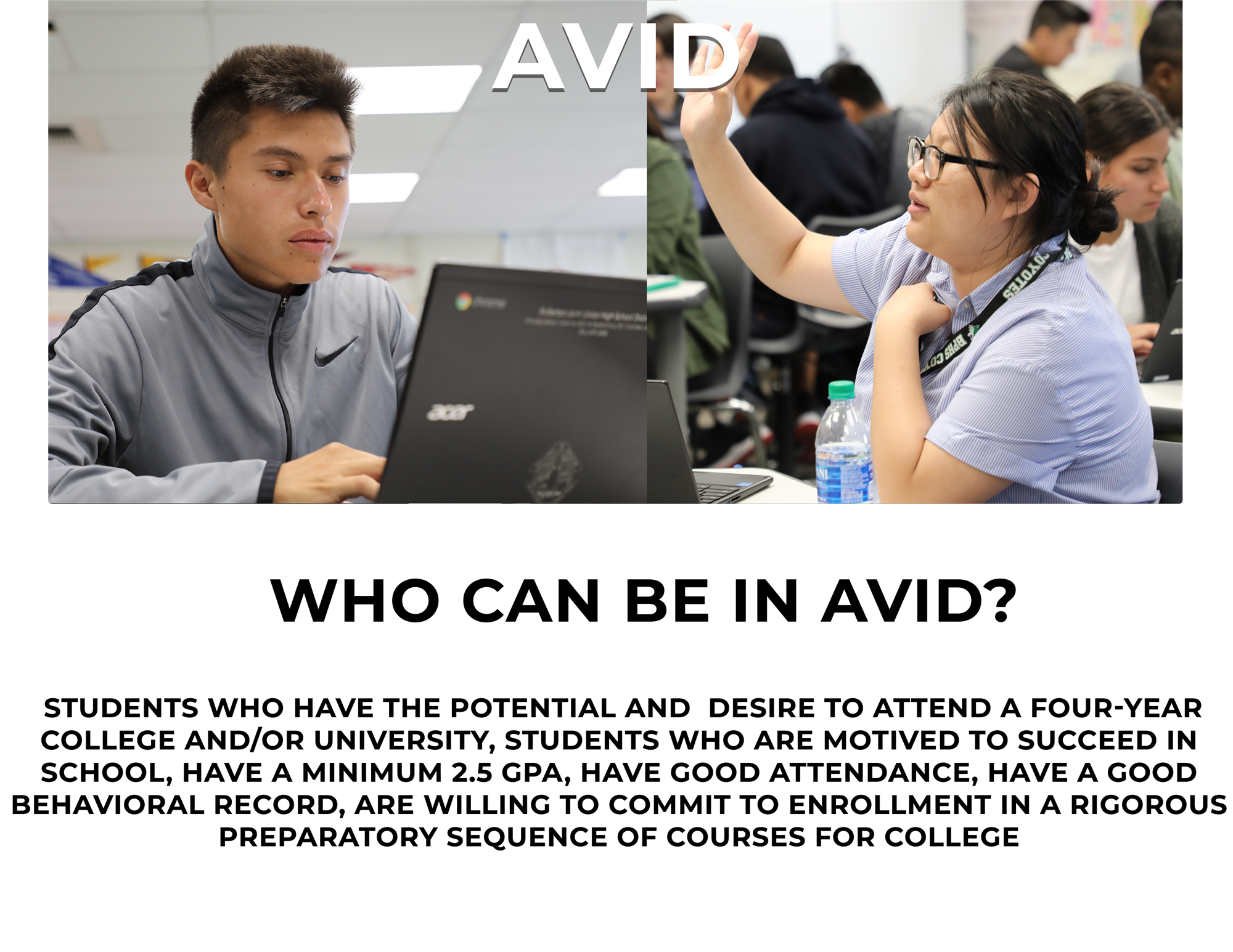 Avid 