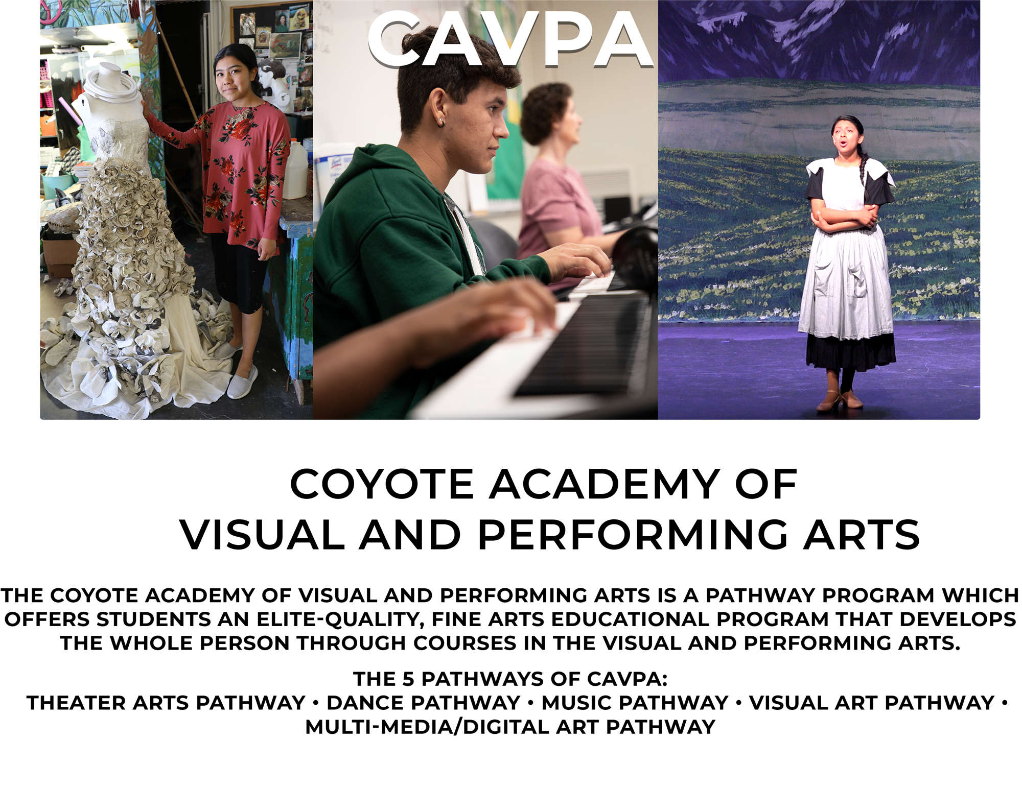 Cavpa 