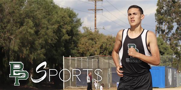Sports Sports